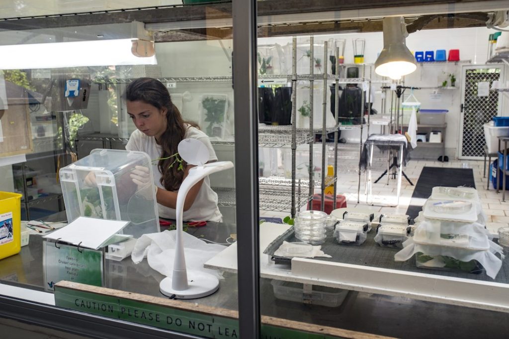 Student working in a laboratory in Australia